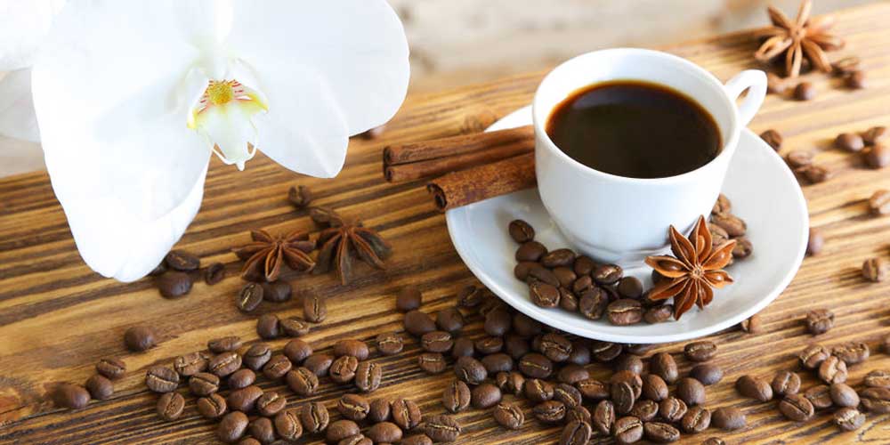 خواص قهوه گانودرما دکتر بیز - ایبو کالا